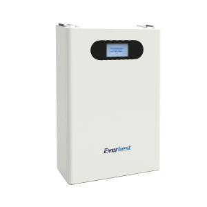 Everbest Wall Mounted